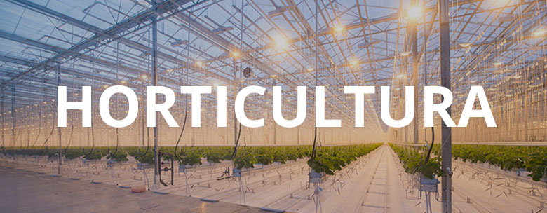 orticoltura